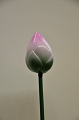 DSC_3726.JPG