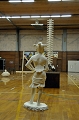 SCL_2436.JPG
