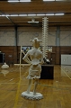 SCL_2436.JPG