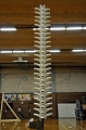 SCL_2457.JPG