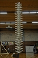 SCL_2457.JPG
