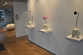 SCL_4465.JPG