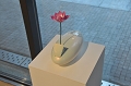 SCL_4459.JPG