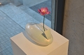 SCL_4460.JPG