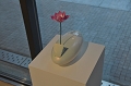 SCL_4459.JPG