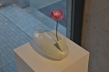 SCL_4460.JPG