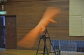 DSC_3768.JPG