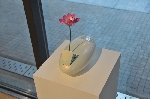 SCL_4459.JPG